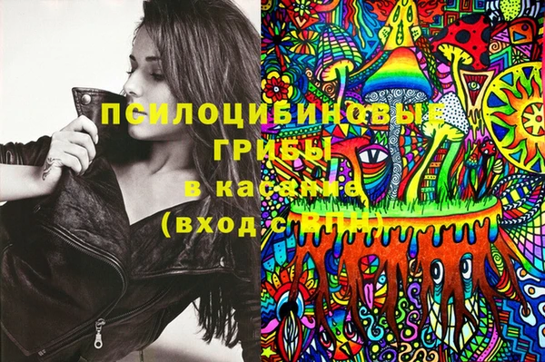 mix Заводоуковск