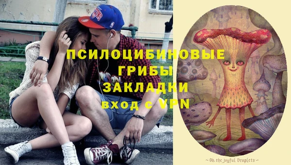 ГАЛЛЮЦИНОГЕННЫЕ ГРИБЫ Армянск
