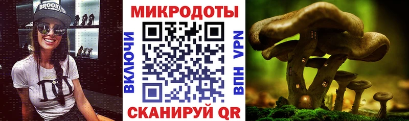 Галлюциногенные грибы Magic Shrooms  купить  сайты  Похвистнево 